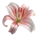 emoji_140 emote