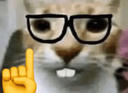 1685nerd emote