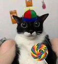 GoofyCat Emote