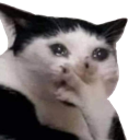 sadcate Emote