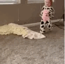 emoji_104 emote