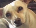 wtfbro emote
