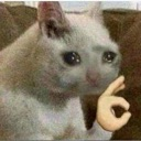 Nice emote