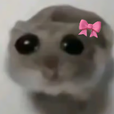16152sadhamstercoquette Emote