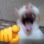 haha emote