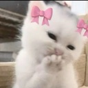 emoji_33 emote
