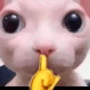 bingusshush emote