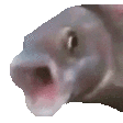 OOOO emote