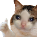 sad emote