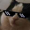 94009coolcat Emote
