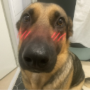 blushingdog emote