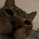 rockystare emote