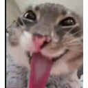 Yeahh emote
