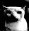M8dark emote