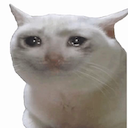 crycat Emote