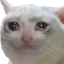 emoji_23 Emote