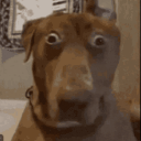 emoji_17 Emote