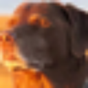 emoji_80 Emote