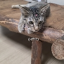 emoji_1 emote