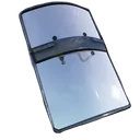 Riot_Shield emote