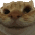 YesYes Emote