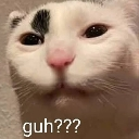 huh Emote