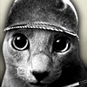 Soldier_Car emote