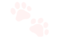 a_apaw9 Emote