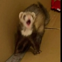 emoji_1 Emote