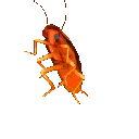 72131cockroach emote