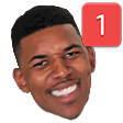 pingwhat_urdu emote