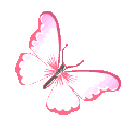 ButterflyPink2 emote