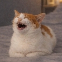 lol Emote