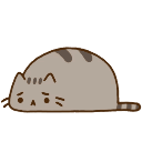 7627_sad_pusheen emote