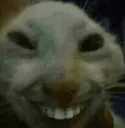 emoji_35 emote