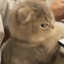 emoji_4 Emote