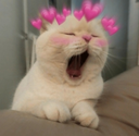 kanha_qt Emote