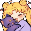 1_nv_SailorMoonHug emote