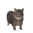 emoji_77 Emote