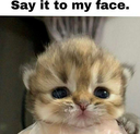 Say_it_to_my_FACE Emote