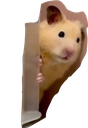 hide Emote