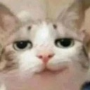 smerkkitty emote