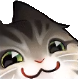 rrBlckShk_CatSmug emote