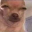 emoji_8 emote
