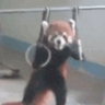 Panda_Nara Emote
