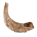 shofar Emote