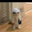 emoji_36 Emote