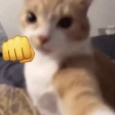 Uannoyme Emote