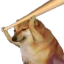 CheemsBonk Emote