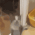 emoji_237 emote